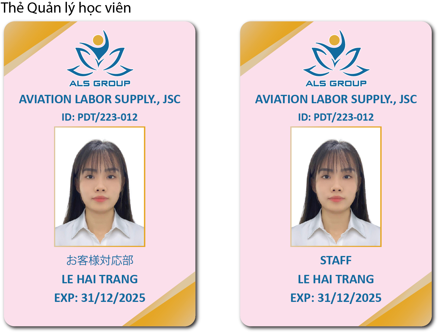 the-nhan-vien-vietnam-airline-.jpg